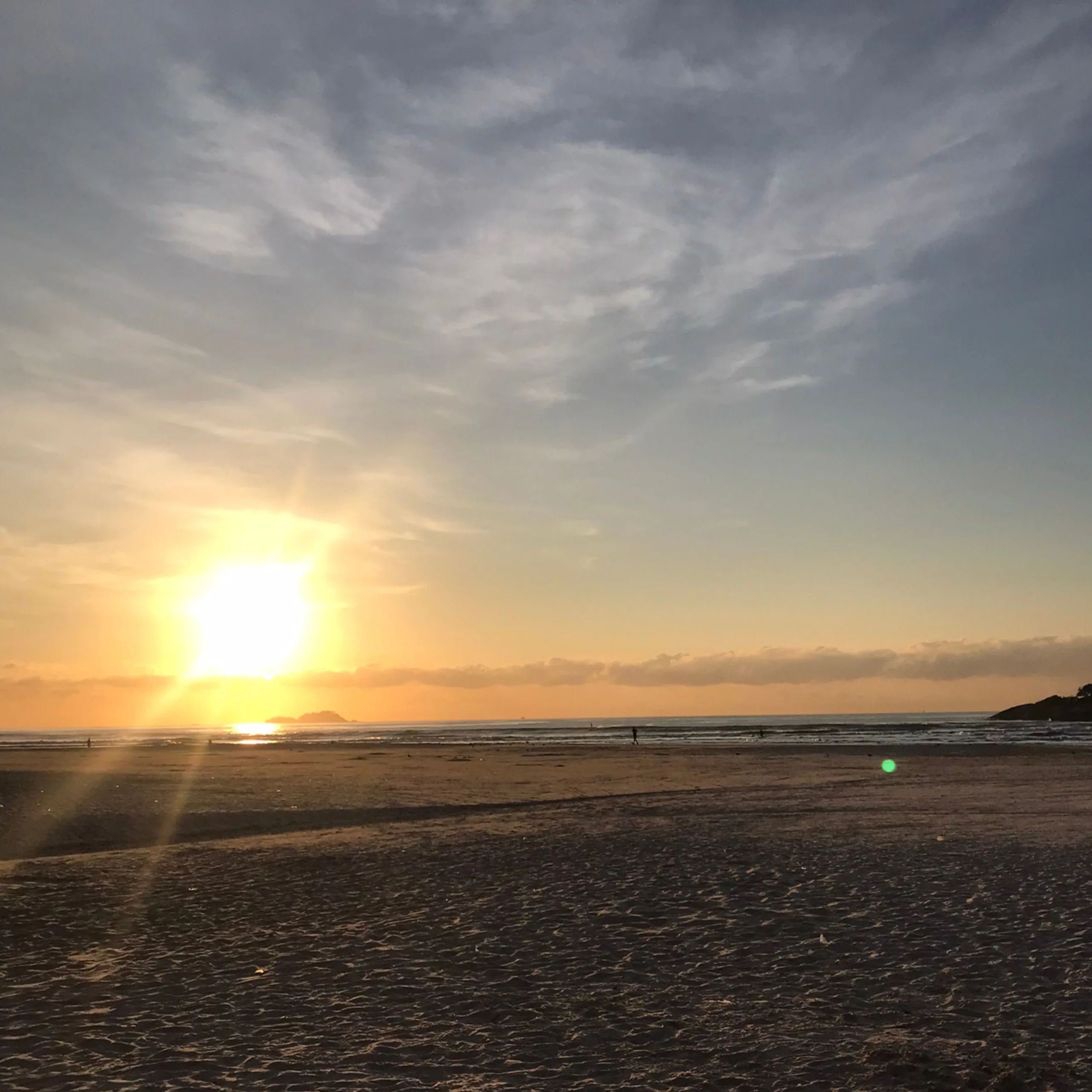 Árvore silhuetada na praia ao entardecer